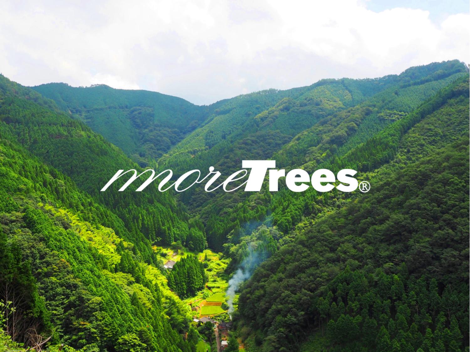 一般社団法人more trees（モア・トゥリーズ）