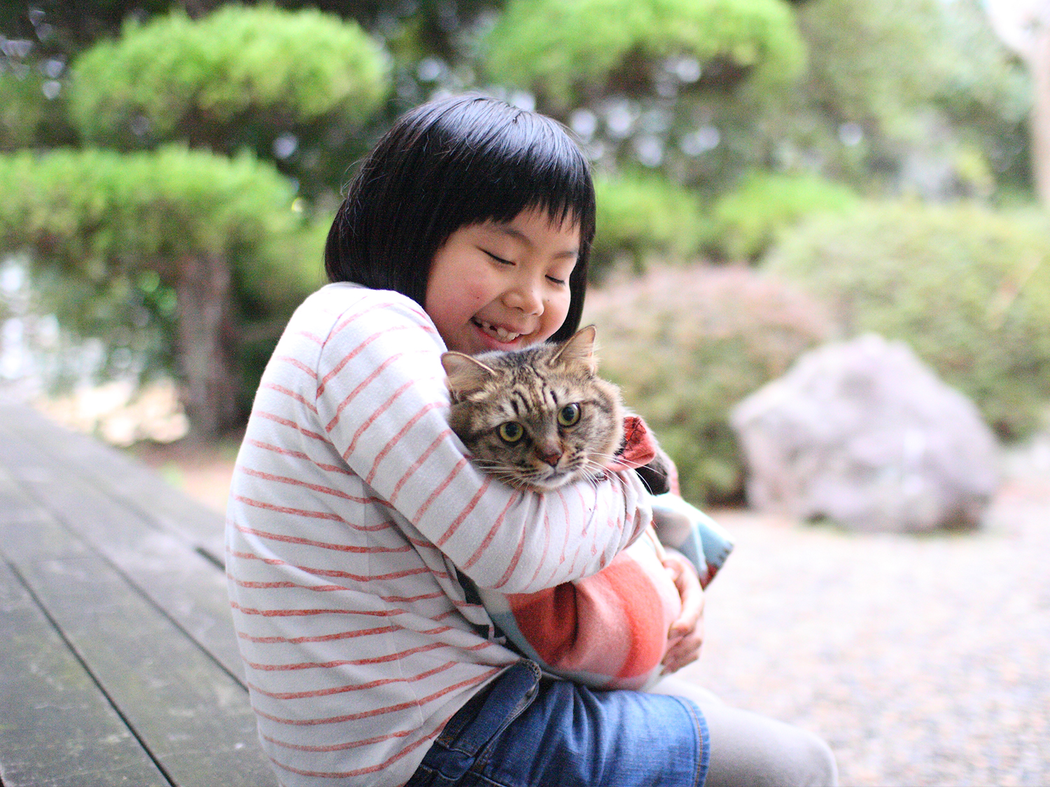 猫庭
